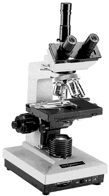 Microscope