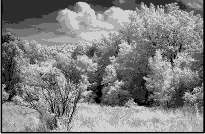 IR Landscape1