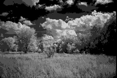 IR landscape2